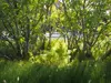 P1010037.JPG