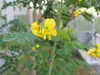 P1010075.JPG