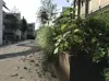 Dattnau_Stahlpflanztroege.png