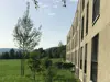 Dattnau_WohnsiedlungmitBaum.png