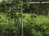 Dattnau_Containerplatzeinhausung.png