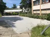 IMG_6782.jpeg