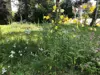 IMG_6787.jpeg