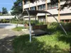 IMG_6777.jpeg