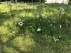 IMG_6786.jpeg