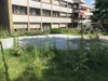 IMG_6827.jpeg