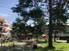 IMG_6829.jpeg